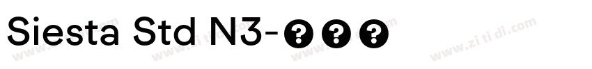 Siesta Std N3字体转换